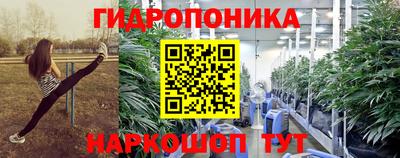 spice Чебоксары