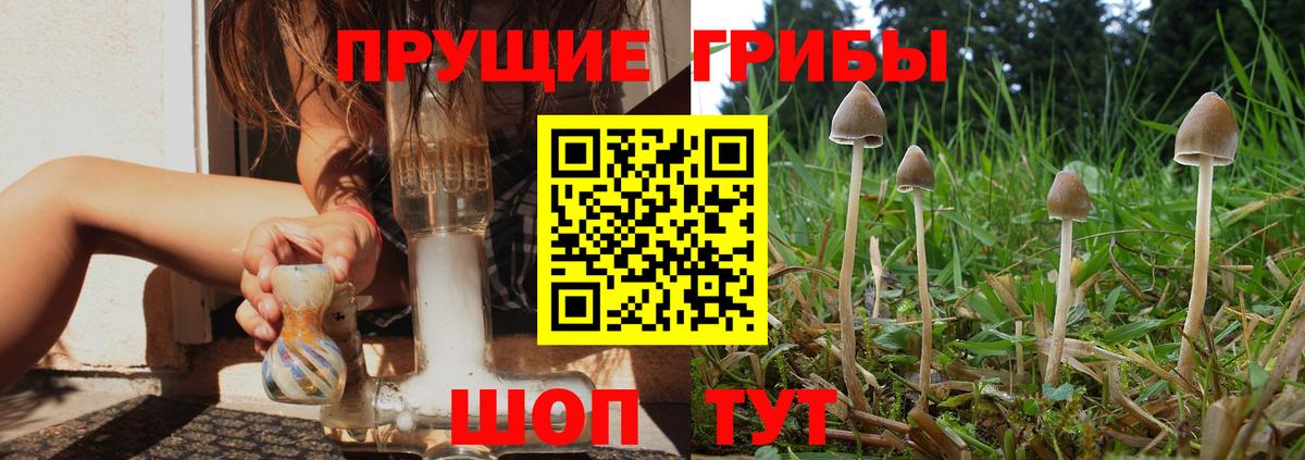 Лосино-Петровский  хочу наркоту  Вход с VPN  Галлюциногенные грибы Magic Shrooms 